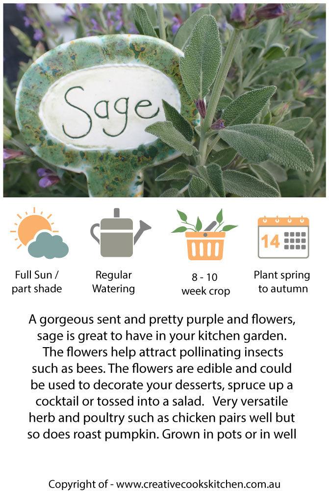 Sage - Creative Cooks Kitchen Australia